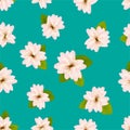 Spring cherry blossoms.ÃÂ Seamless pattern with JapaneseÃÂ sakura. Pink flowers on turquoise background. RomanticÃÂ  illustration. Royalty Free Stock Photo